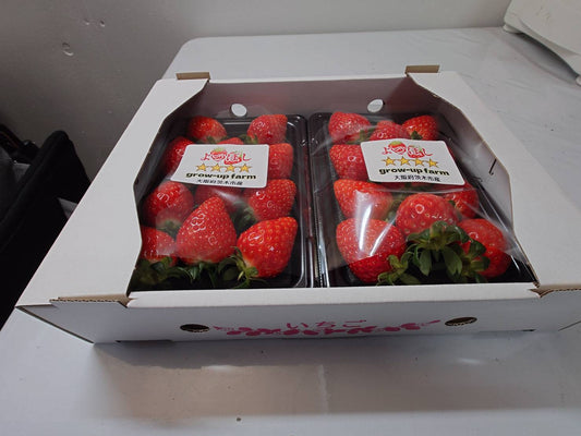 Enseisei(草莓)| 包裝出售