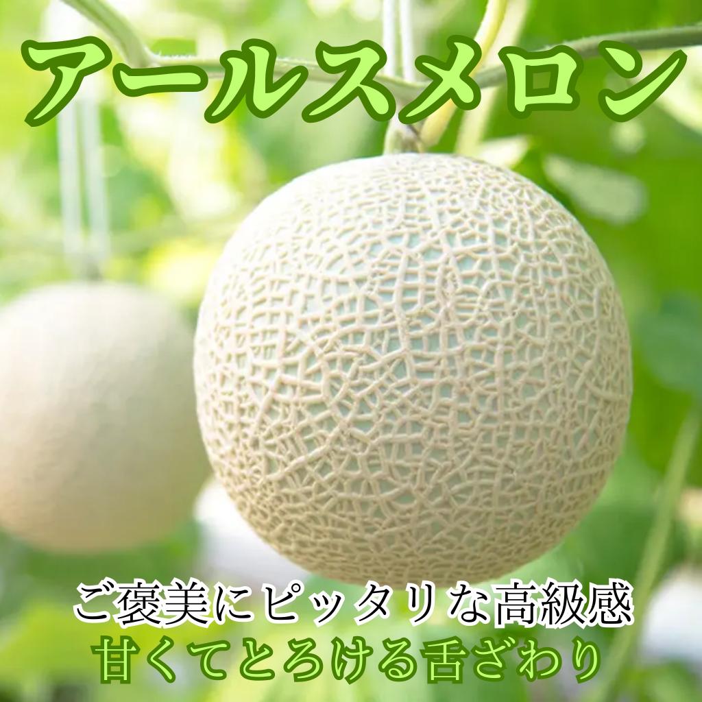 アールスメロン　１玉、６玉　静岡県産　送料無料（北海道、沖縄方面は別）