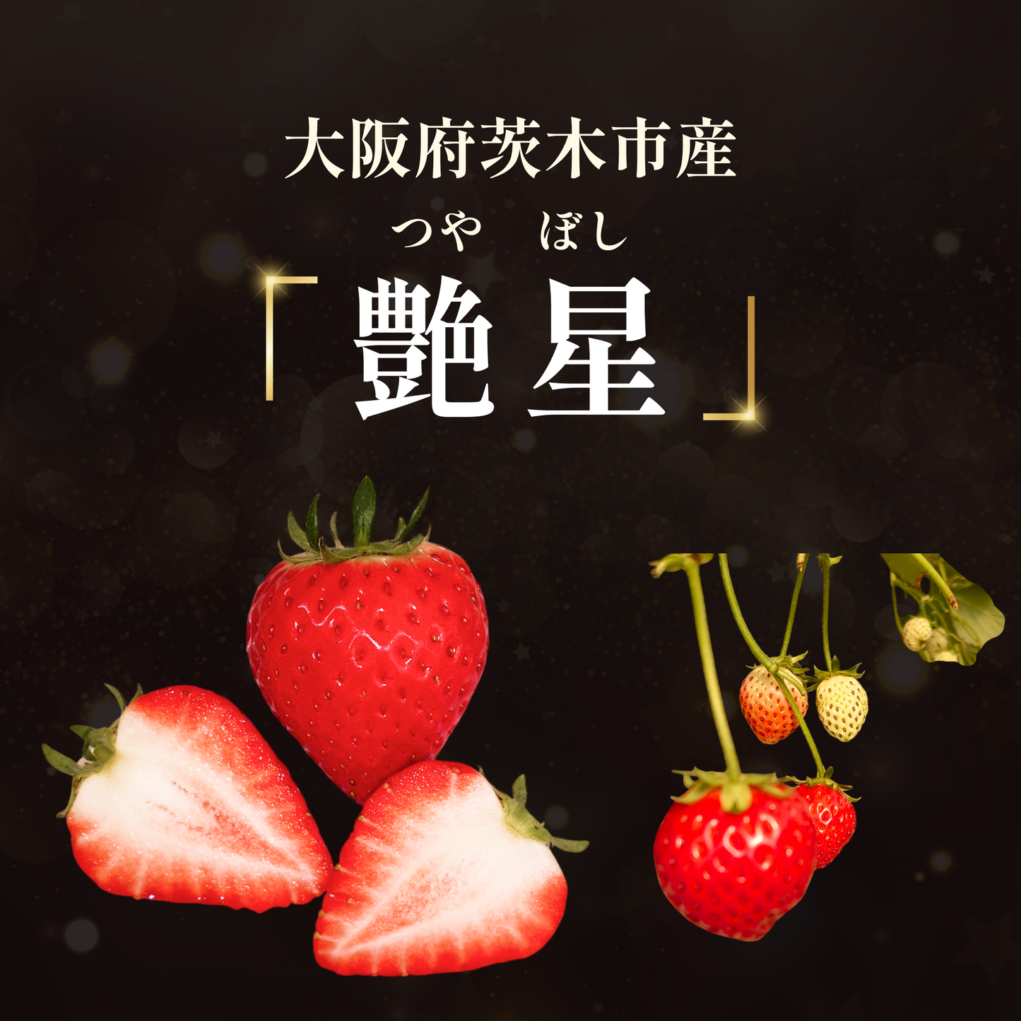 大阪府茨木市産「よつぼしいちご」艶星|パック売り