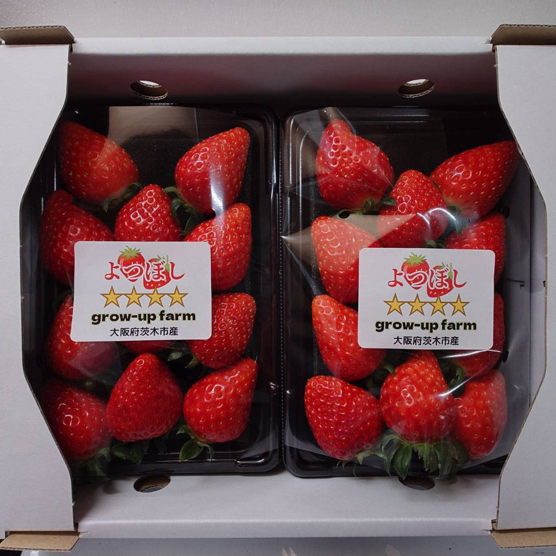 【お知らせ】いちご「艶星（つやぼし）」の販売を開始しました