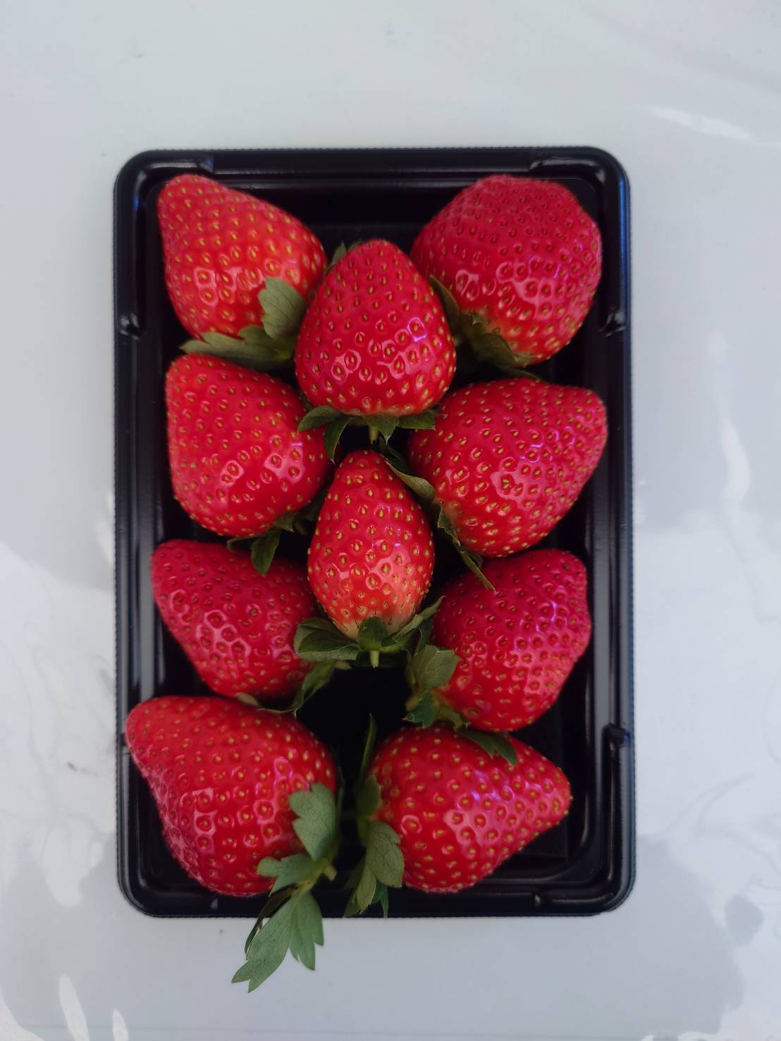 いちご – Grow-up Farm