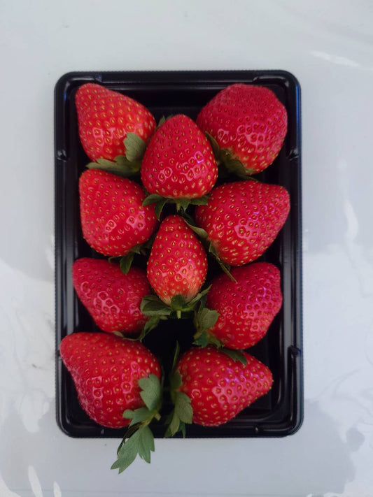 よつぼし（イチゴ）｜4パック入り