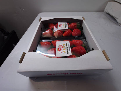 よつぼし（イチゴ）｜2パック入り