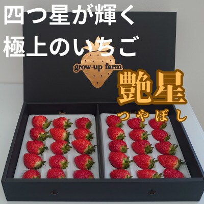 苺⭐︎SALE中様 限定】お中元や贈答にも！15玉2箱！夏秋いちご 青森県産 すずあかね 苺