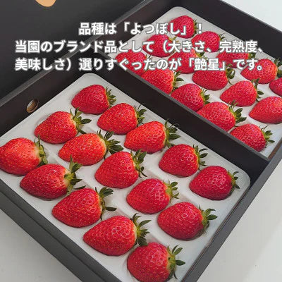 艶星（イチゴ）｜贈答用（箱売り）