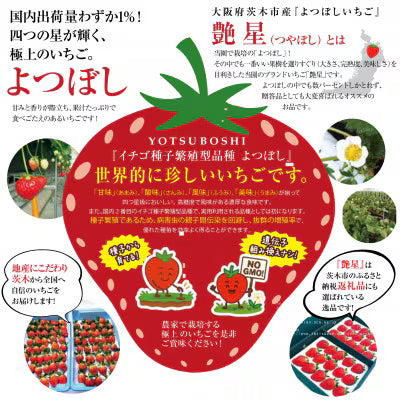 艶星（イチゴ）｜パック売り