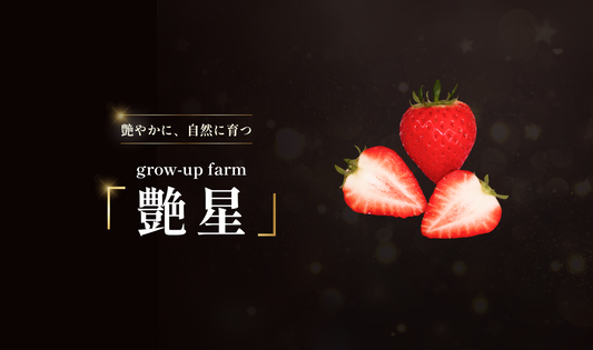 大阪府茨木市産「よつぼしいちご」艶星｜贈答用（箱売り）
