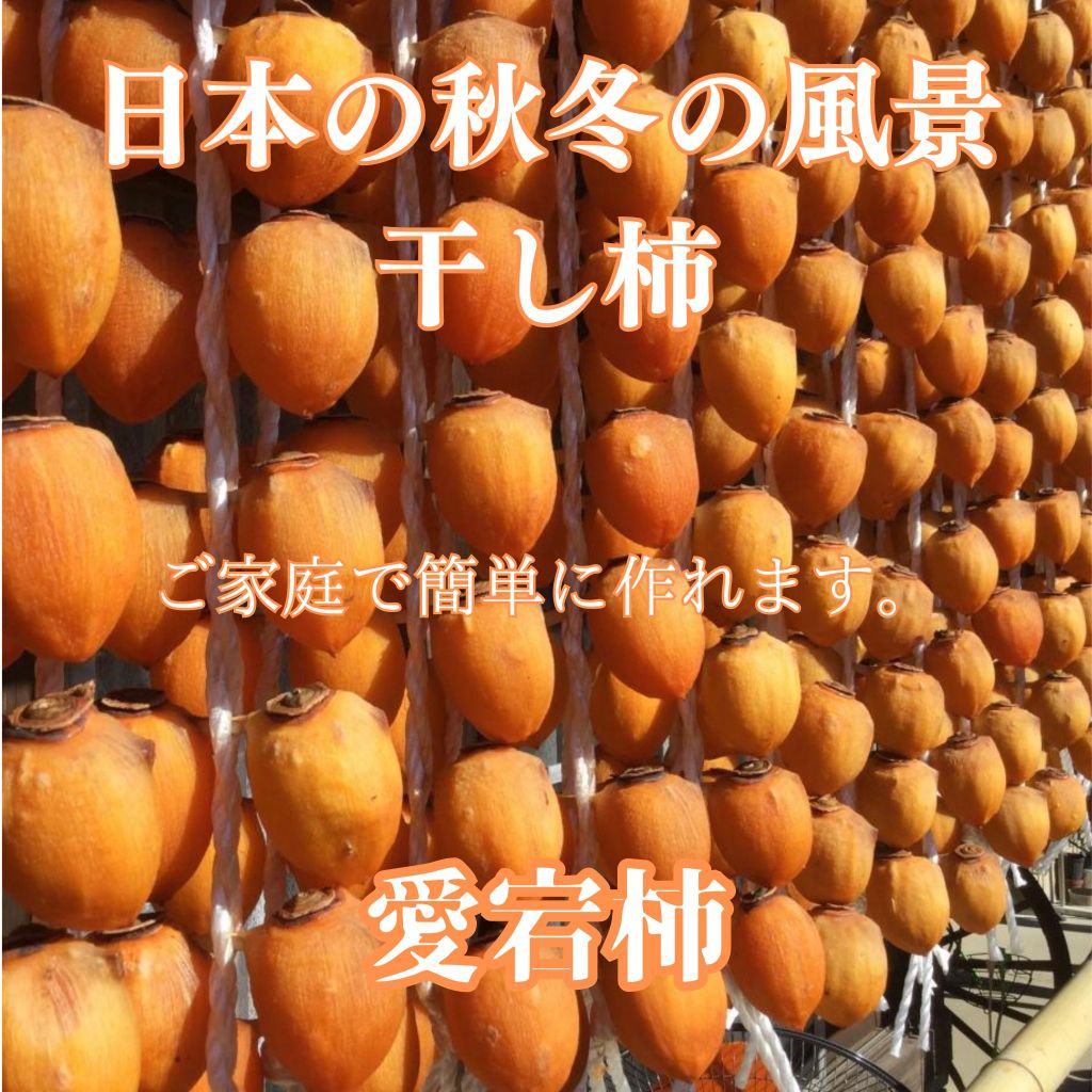 渋柿（吊るし柿用　愛宕柿）（10kg）