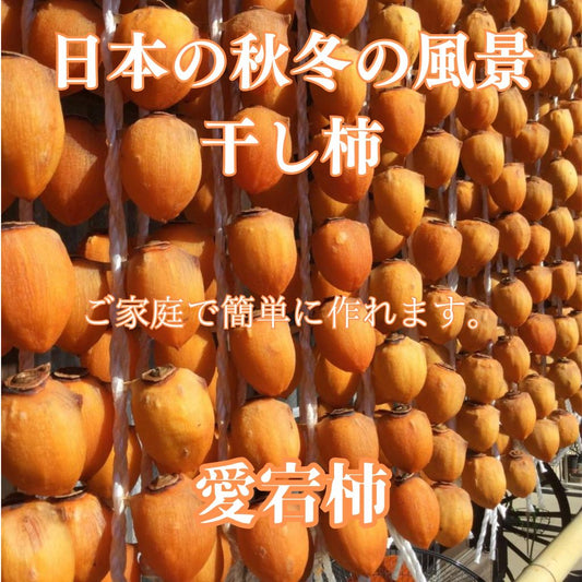 渋柿（吊るし柿用　愛宕柿）（10kg）