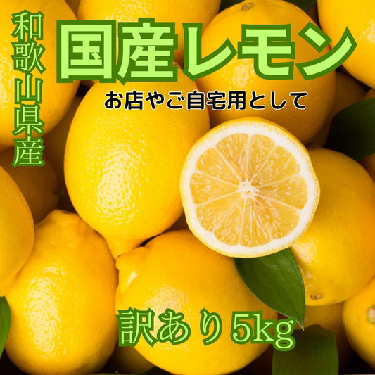 国産レモン（訳アリ）　5kg　和歌山県産　送料無料（北海道、沖縄方面は別）
