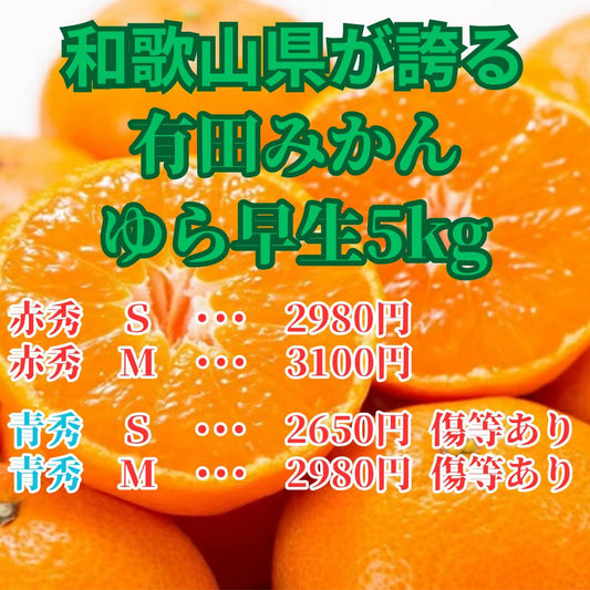 Arita mandarin orange
