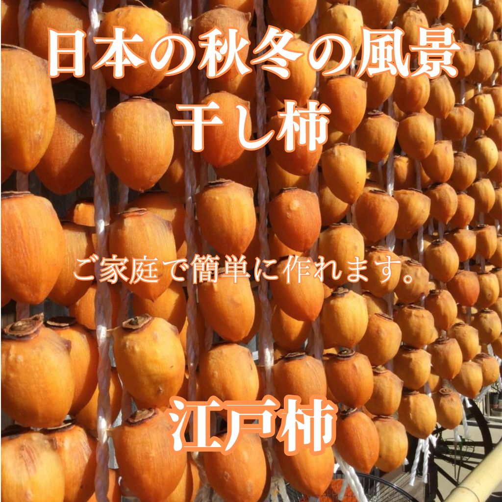 渋柿（吊るし柿用　江戸柿）（10kg）