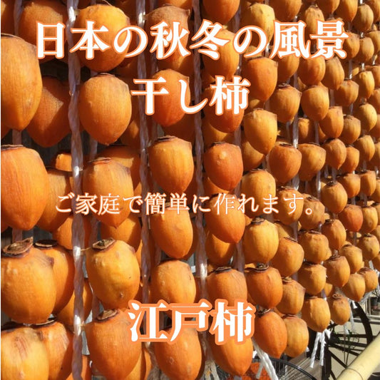 Astringent persimmon (Edo persimmon for hanging persimmon)