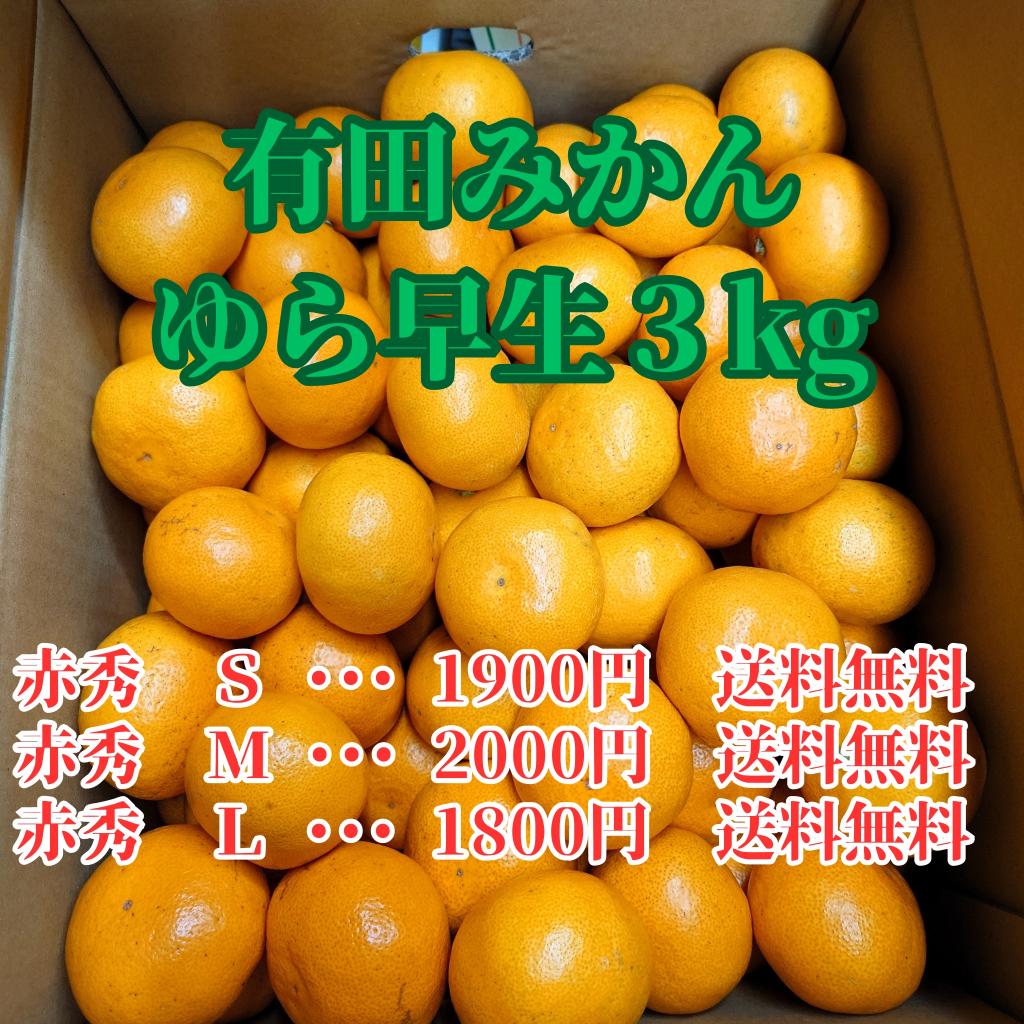 有田蜜柑 山森酒品 3kg 盒 免運費（不含北海道及沖繩地區）
尺寸有 S、M、L 