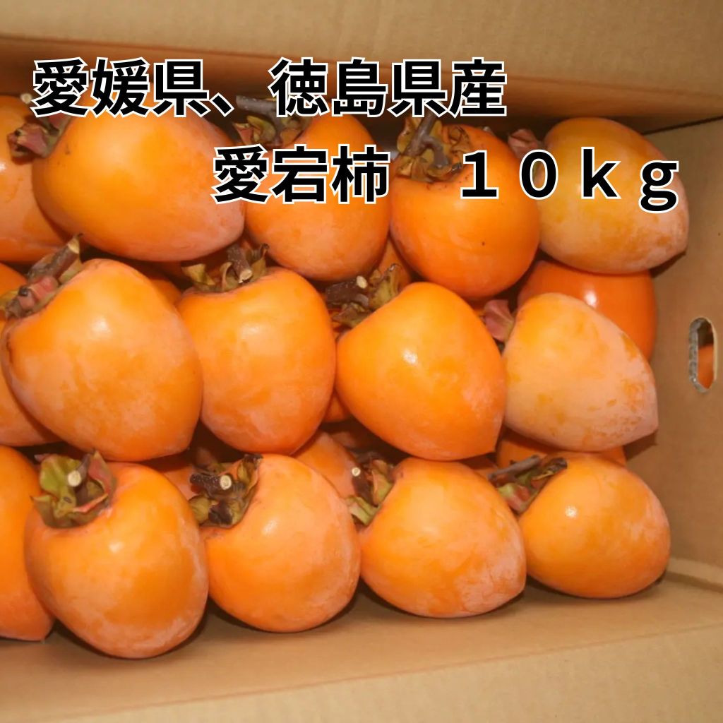 澀柿（掛柿、愛宕柿）（10kg）