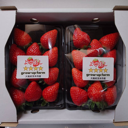 よつぼし（イチゴ）｜2パック入り