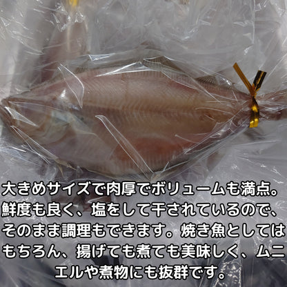 隔夜乾燥的紅鰈魚（8kg） 