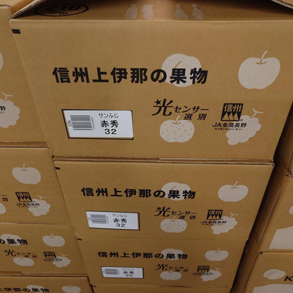 Sun Fuji（長野縣產）6球盒（約2kg） 