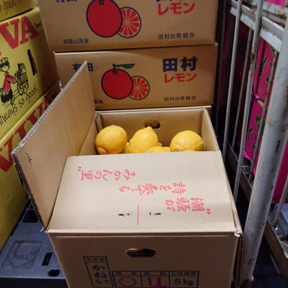 国産レモン（訳アリ）　5kg　和歌山県産　送料無料（北海道、沖縄方面は別）