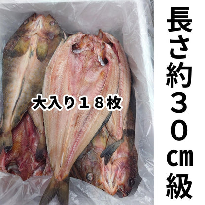 隔夜乾燥的青花魚（北海道羅臼產） 