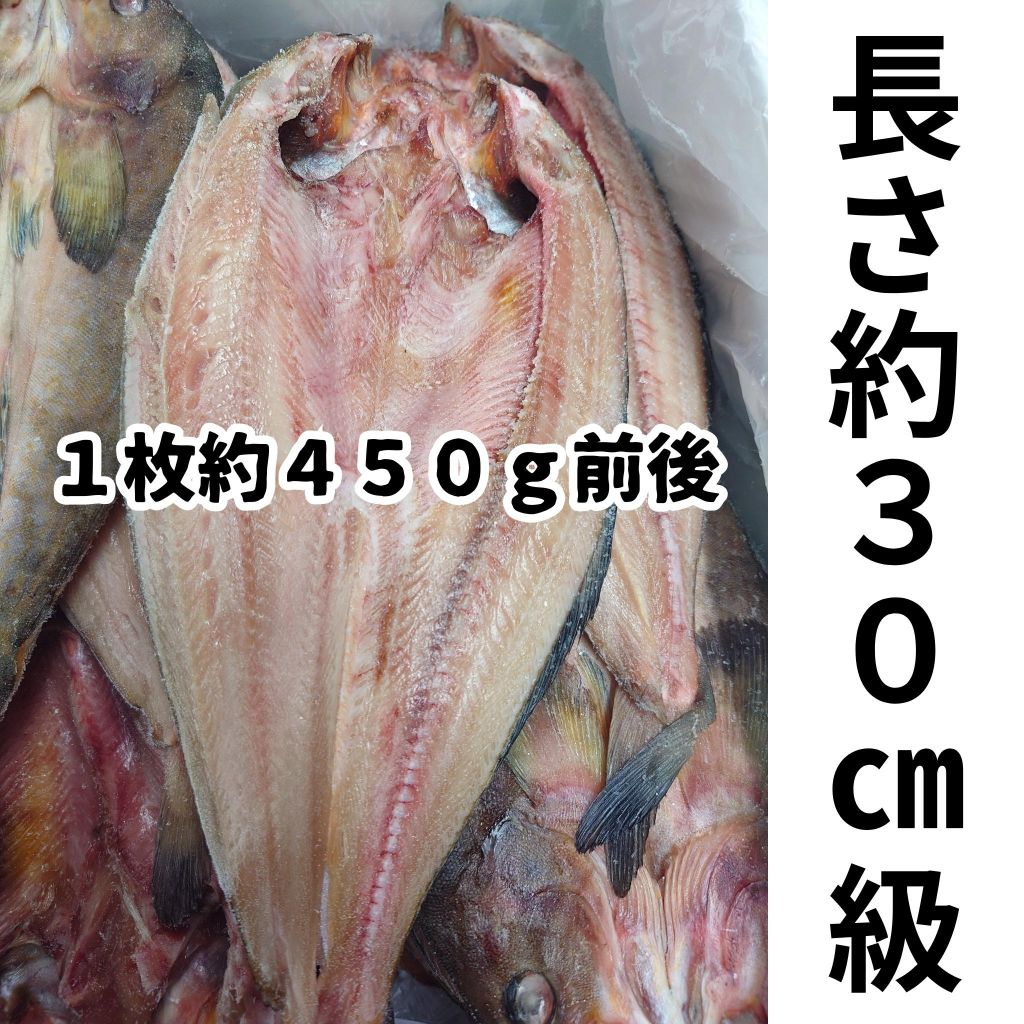 隔夜乾燥的青花魚（北海道羅臼產） 