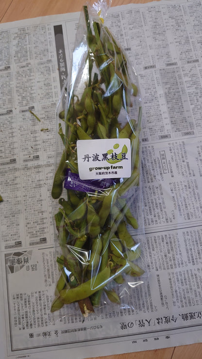 丹波黒枝豆