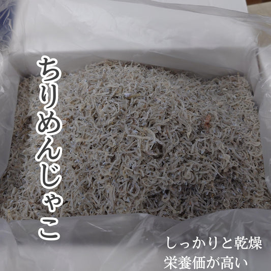 Chirimenjako（1公斤） 